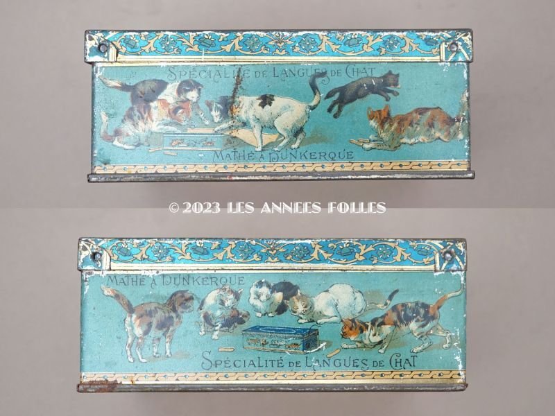 画像4: 19世紀 アンティーク 子猫たち ラングドシャのメタル缶 LANGUES DE CHAT- MAISON MATHE -