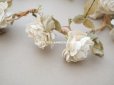 画像3: アンティーク 白薔薇の大きな花冠 オフホワイト 布花のティアラ