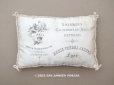画像1: 19世紀末 アンティーク  シルク製クッション LYONのシルク専門店 SOIERIES CACHEMIRES DES INDES DENTELLES - MARIX FRERES JEUNES - (1)