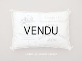 19世紀末 アンティーク  シルク製クッション LYONのシルク専門店 SOIERIES CACHEMIRES DES INDES DENTELLES - MARIX FRERES JEUNES -