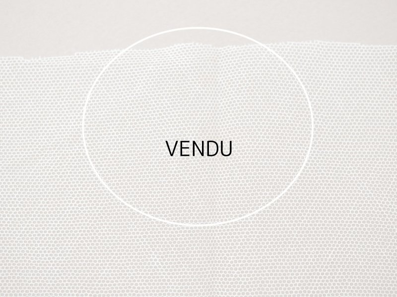 画像6: アンティーク 花の刺繍入り 幅広レース エクリュ　1.4m 幅14.4cm