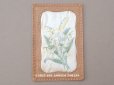 画像1: 1900年頃 アンティーク 鈴蘭のポストカード 香り袋入り　 (1)