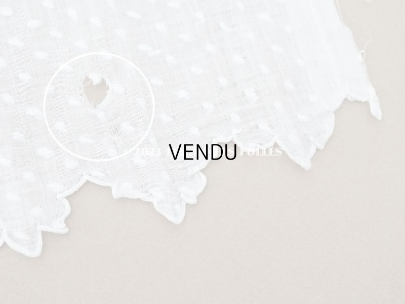 画像20: アンティーク  ドットの刺繍入り コットン生地 