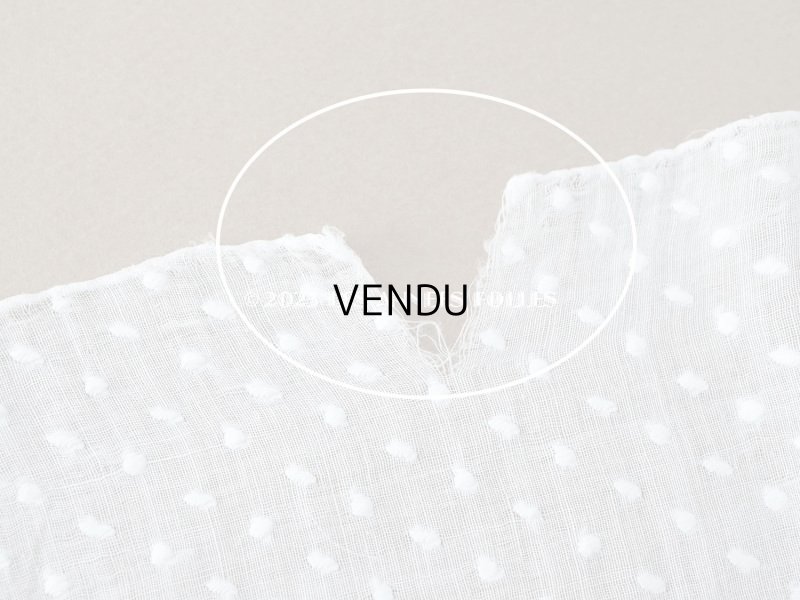 画像13: アンティーク  ドットの刺繍入り コットン生地 