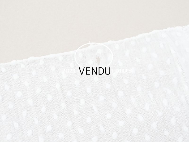 画像9: アンティーク  ドットの刺繍入り コットン生地 