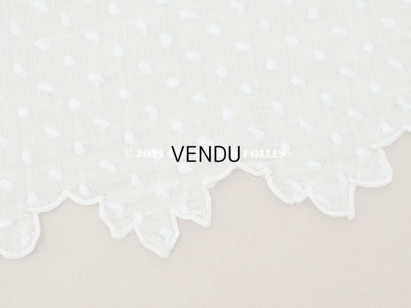 画像4: アンティーク  ドットの刺繍入り コットン生地 