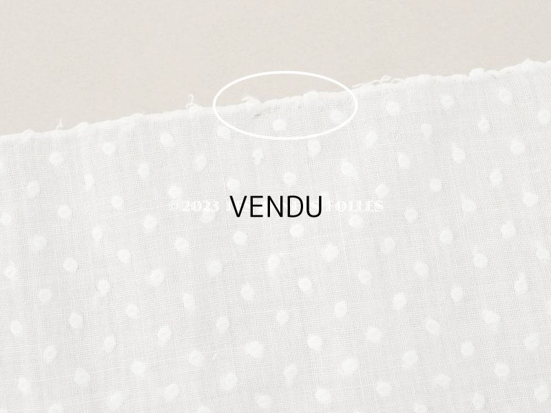 画像11: アンティーク  ドットの刺繍入り コットン生地 