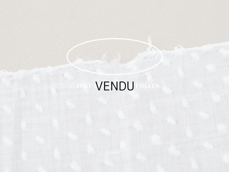 画像16: アンティーク  ドットの刺繍入り コットン生地 