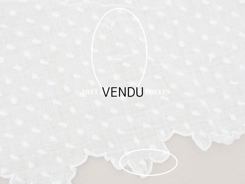 画像17: アンティーク  ドットの刺繍入り コットン生地 