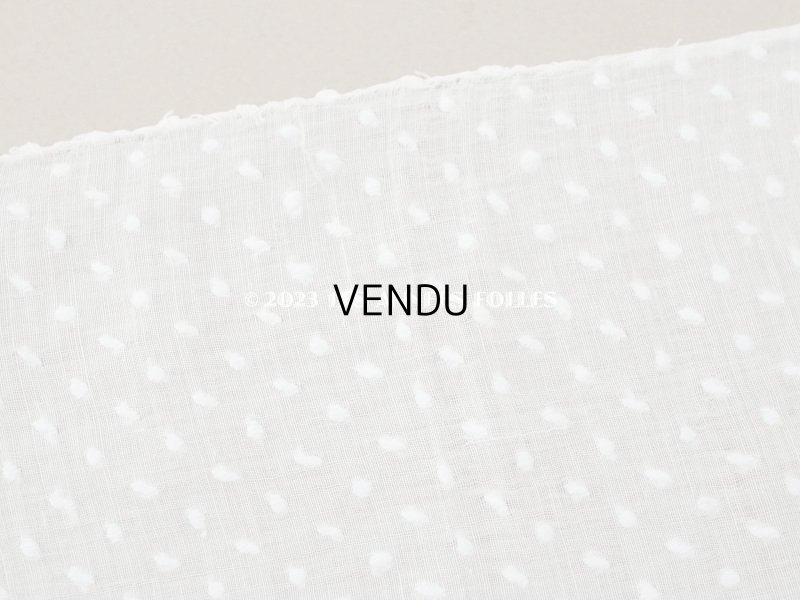 画像3: アンティーク  ドットの刺繍入り コットン生地 