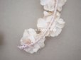 画像7: アンティーク ドール用 小さな花冠　ベビーピンクの薔薇  ティアラ　