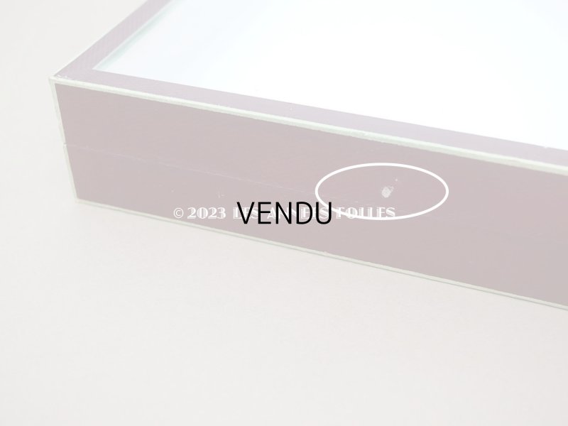 画像7: アンティーク プレザントワール 博物標本用 ガラスケース - N.BOUBÉE & Cie -