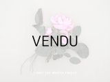 未使用　アンティーク シルク製 薔薇の布花 ラベル付き　- AUX GALERIES LAFAYETTE -