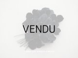 アンティーク ベルベットの布花　黒