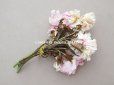 画像5: 1900年頃 アンティーク カーネーションの布花 ホワイト＆ピンク (5)