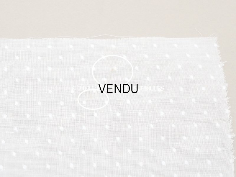 画像8: アンティーク  ドットの刺繍入り コットン生地 