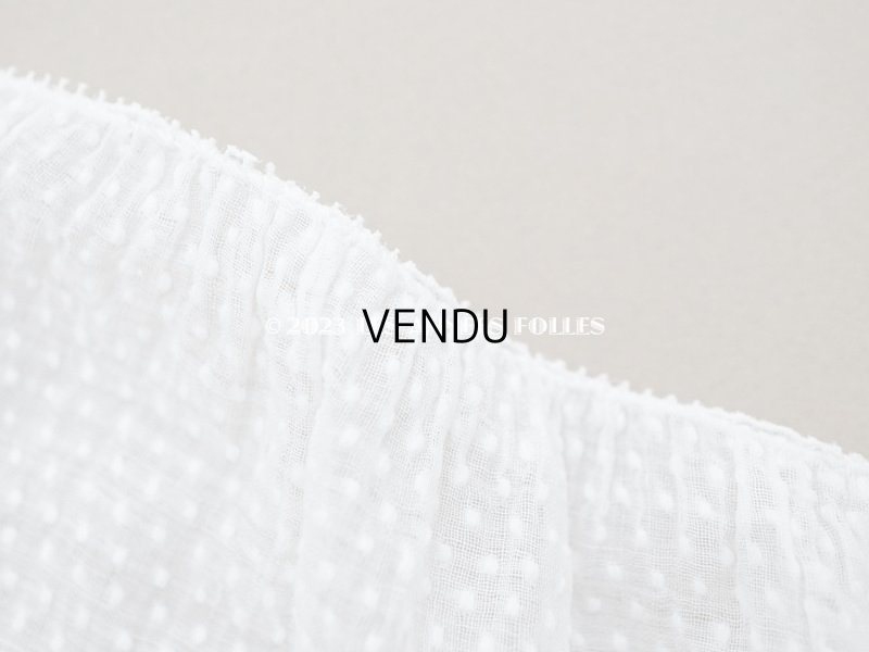 画像5: アンティーク  とても小さなドット刺繍入り コットン生地  