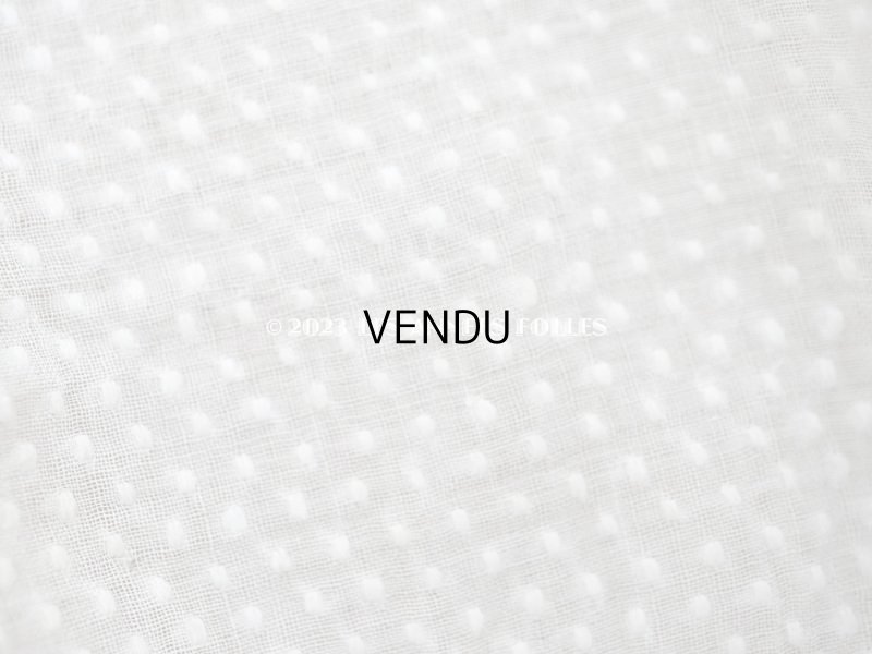 画像3: アンティーク  とても小さなドット刺繍入り コットン生地  