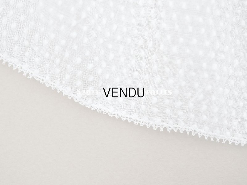 画像6: アンティーク  とても小さなドット刺繍入り コットン生地  