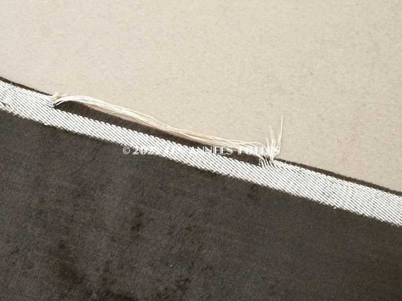 画像6: 19世紀末 アンティーク ファブリック シルク製 ベルベット 黒