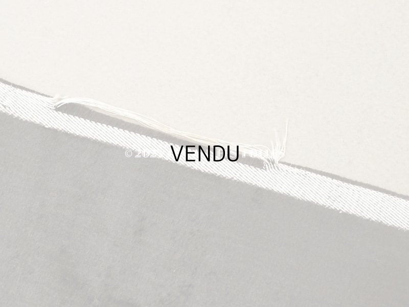 画像6: 19世紀末 アンティーク ファブリック シルク製 ベルベット 黒 