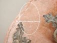 画像14: 19世紀末 アンティーク 　ジュエリーボックス 裁縫箱　スモーキーなサーモンピンク ベルベット＆シルククッション
