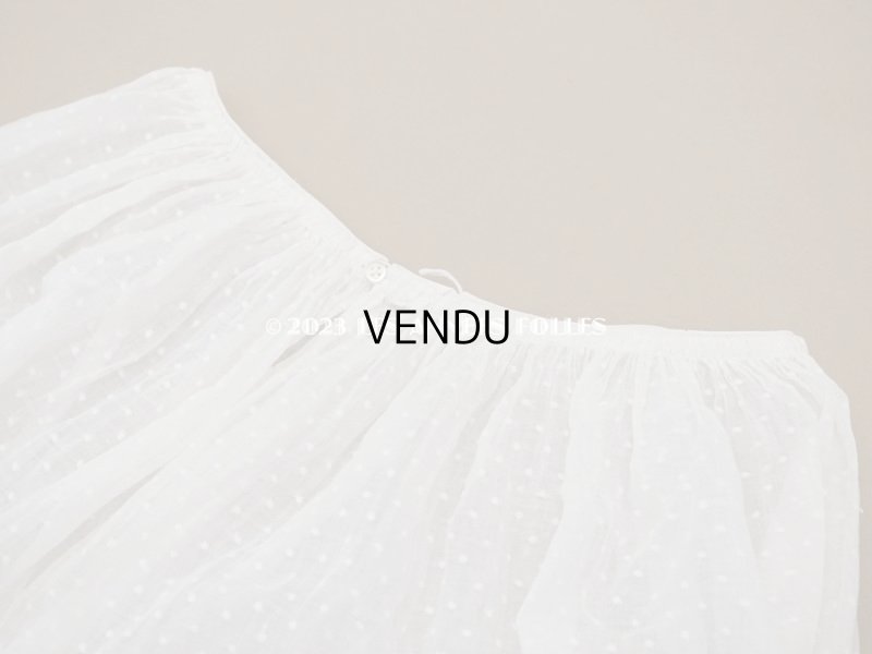 画像9: アンティーク  ドットの刺繍入りコットン生地のペチコート