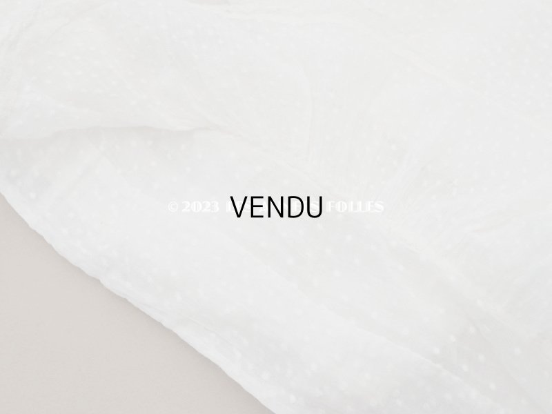 画像14: アンティーク  ドットの刺繍入りコットン生地のペチコート