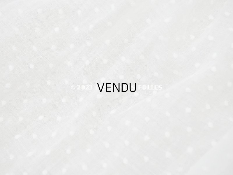 画像11: アンティーク  ドットの刺繍入りコットン生地のペチコート