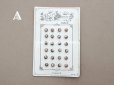 画像2: 【13周年セール対象外】1900年 アンティーク マザーオブパール製 極小 ボタン 5mm 24ピース シェルボタン ブラウン (2)