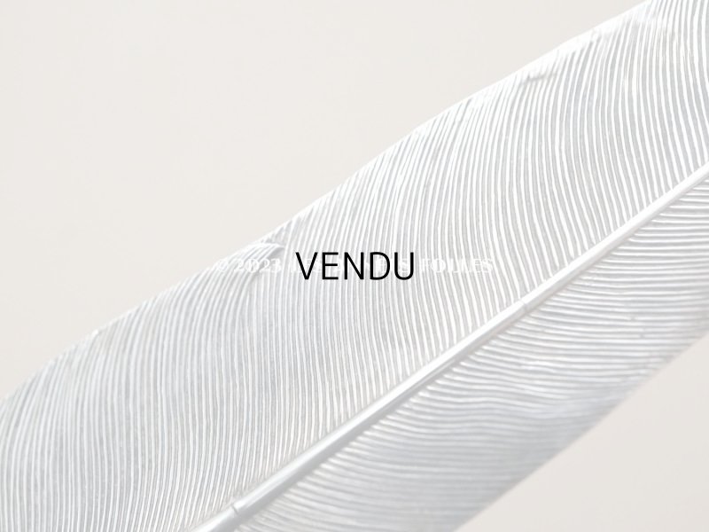 画像7: 【13周年セール対象外】1900年代 アンティーク シルバー製 羽のペン軸 