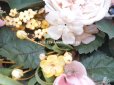 画像8: 19世紀 新品同様 アンティーク 薔薇＆ライラック＆勿忘草＆白詰草の布花　グローブ・ド・マリエのブーケ 