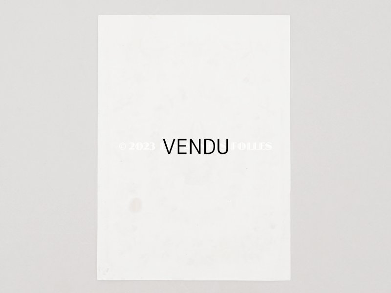 画像6: 19世紀末 アンティーク プチポワンの図案 - JOURNAL DES DEMOISELLES -