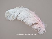 19世紀末 アンティーク 大きなフェザー ピンク＆ホワイトのグラデーション 羽飾り 