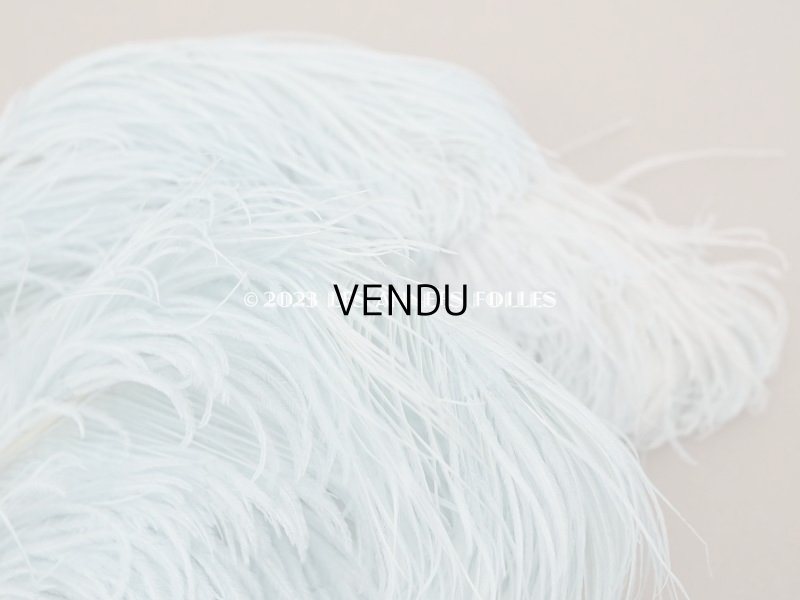 画像5: 19世紀末 ラベル付 フェザー 水色 羽飾り 