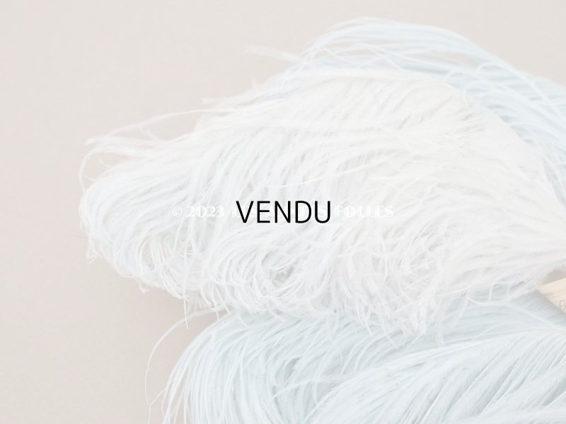 画像6: 19世紀末 ラベル付 フェザー 水色 羽飾り 