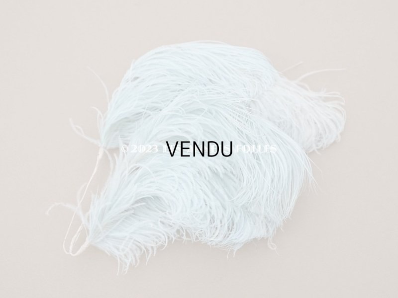 画像3: 19世紀末 ラベル付 フェザー 水色 羽飾り 