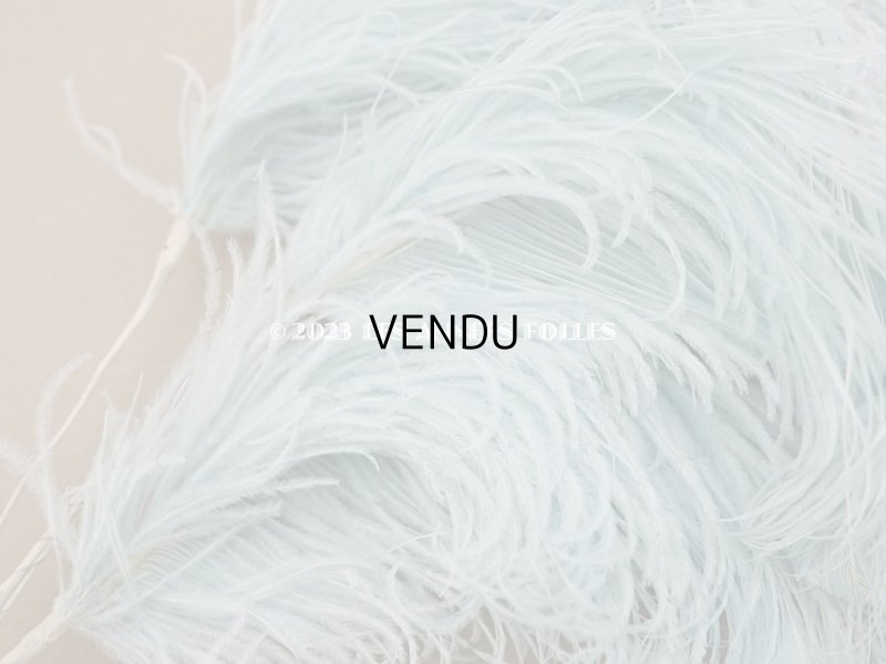 画像4: 19世紀末 ラベル付 フェザー 水色 羽飾り 