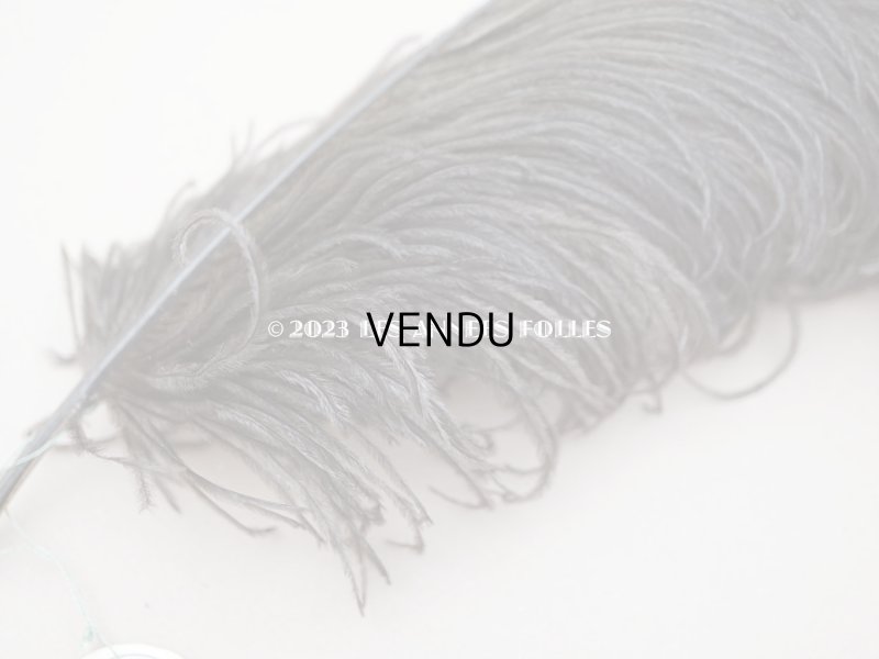 画像3: 1900年頃 ラベル付 フェザー チョコレートブラウン 羽飾り - AUX GALERIES LAFAYETTES -