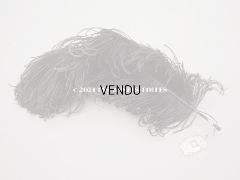 画像4: 1900年頃 ラベル付 フェザー チョコレートブラウン 羽飾り - AUX GALERIES LAFAYETTES -