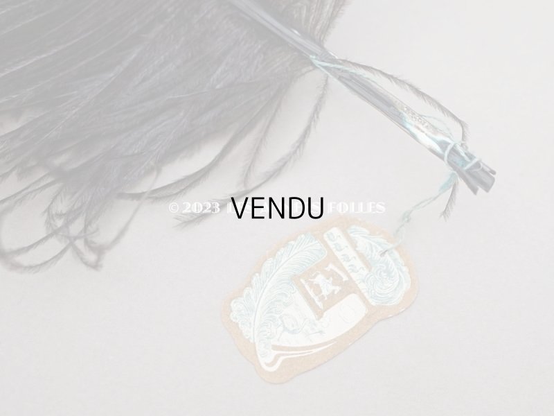 画像5: 1900年頃 ラベル付 フェザー チョコレートブラウン 羽飾り - AUX GALERIES LAFAYETTES -