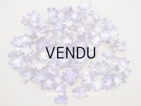 ＊蚤の市セット＊ アンティーク 菫の花びら 100ピースのセット　