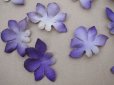 画像5: 【クリスマスセール2023対象外】アンティーク 布花材料 菫の花びら 36枚のセット (5)
