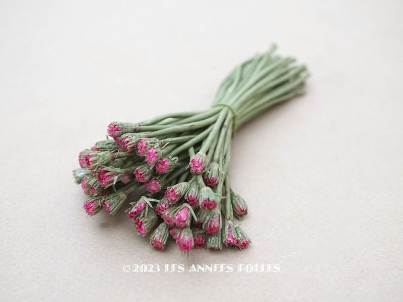 画像1: アンティーク デイジーの蕾の布花 
