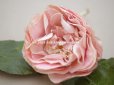 画像3: アンティーク ピンクの薔薇の布花 クウォーターロゼット咲き (3)