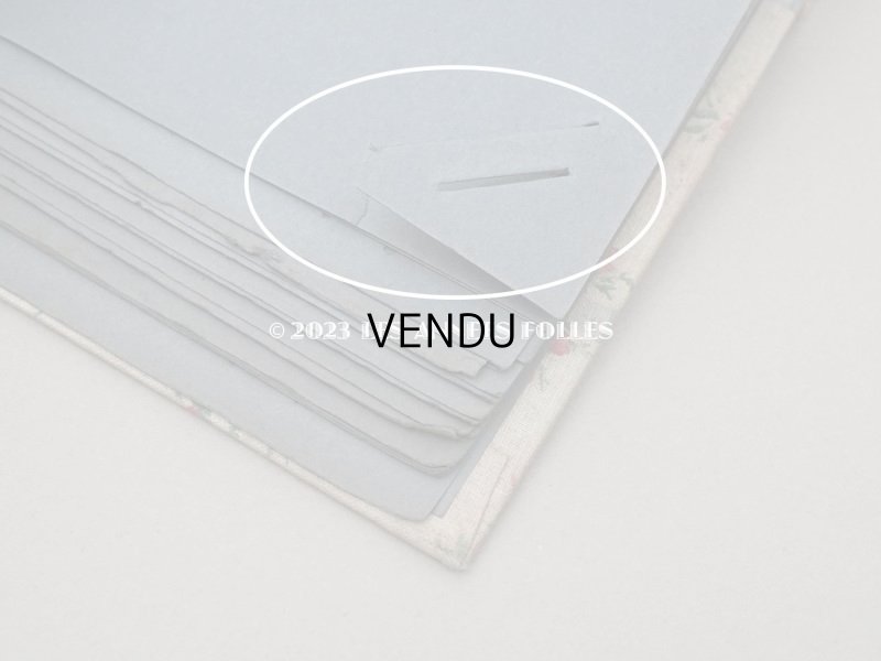 画像13: アンティーク アルバム ピンクの薔薇&水色のリボン