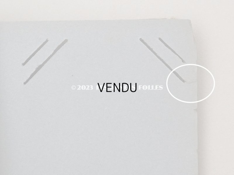 画像11: アンティーク アルバム ピンクの薔薇&水色のリボン