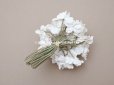 画像2: 1900年頃 アンティーク 白菫の布花 パルマスミレ (2)