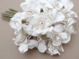 画像5: 1900年頃 アンティーク 白菫の布花 パルマスミレ (5)