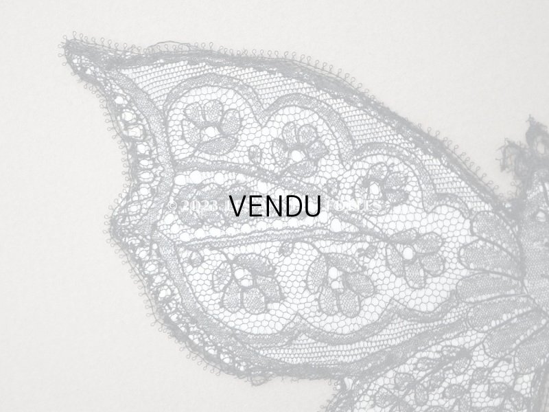 画像4: 19世紀末 アンティーク 蝶のレースモチーフ 花模様